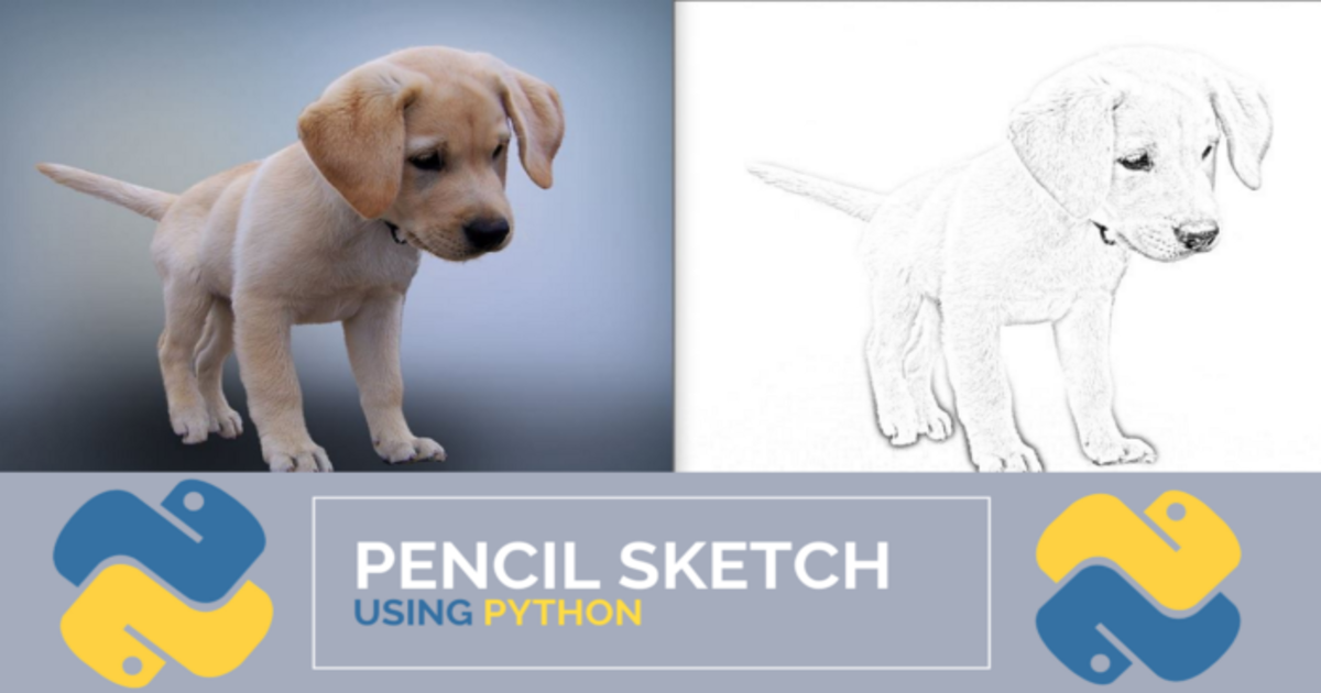 Live Sketch Using Python